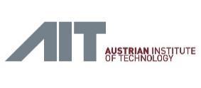 Technology GmbH Technical University of Vienna Austrian Computer Society The RISIoT project is co-funded under the ICT of the Future