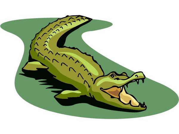 ABCB Rhyming Pattern The Alligator The alligator chased his tail Which hit him in the snout; He