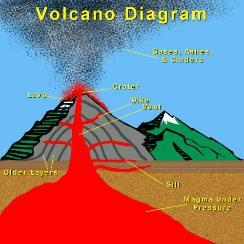 The diagram helps the reader understand the parts of a volcano and how they erupt. Diagrams How could this diagram help the reader understand volcanoes?