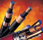 the custom cable you need. Here is just a sampling of what is available to you: CORD PRODUCTS Carol Brand leads the market.