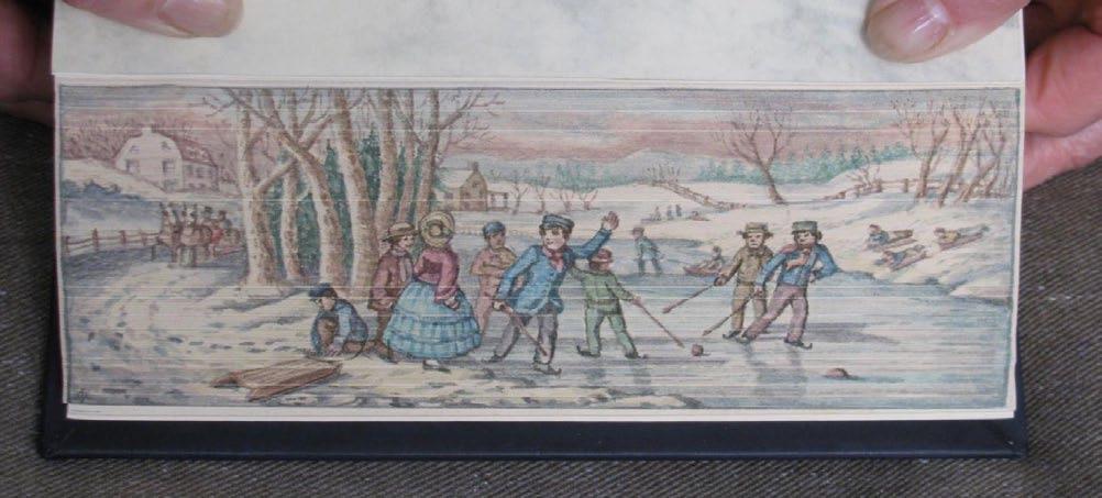 condition FEP of a victorian group on the ice from
