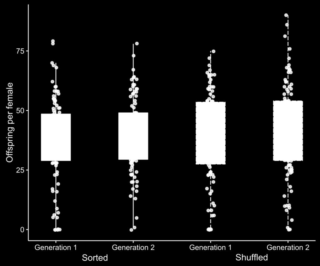 7 Supplementary Figure 7 Comparison of post-invasion reproductive rates Tukey boxplots showing the number of offspring per female in spatially sorted (red solid boxes, closed circles) and shuffled