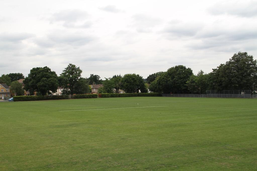 cricket pitch.