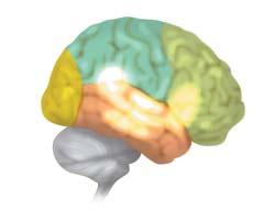 as well as sections of the parietal in the left hemisphere. If the temporal relations among the tones are more complex, premotor and frontal regions in the right hemisphere become active.