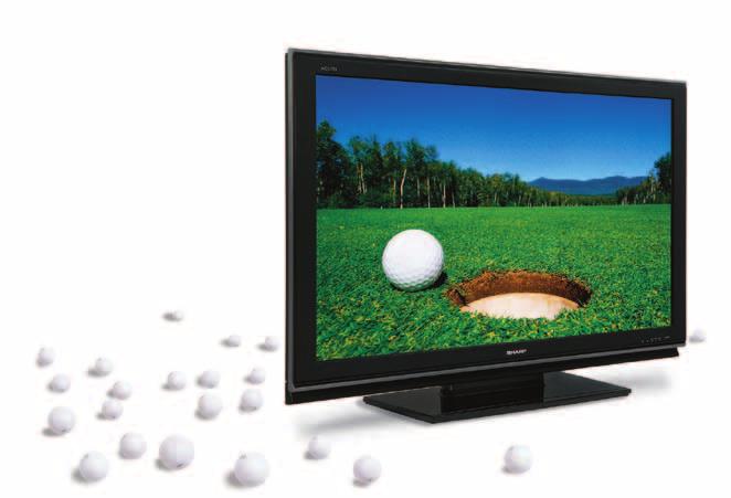 Picture TV displays have never been as large, flat, and affordable as they are now. Flat comes two ways: liquid crystal display (LCD) and plasma.