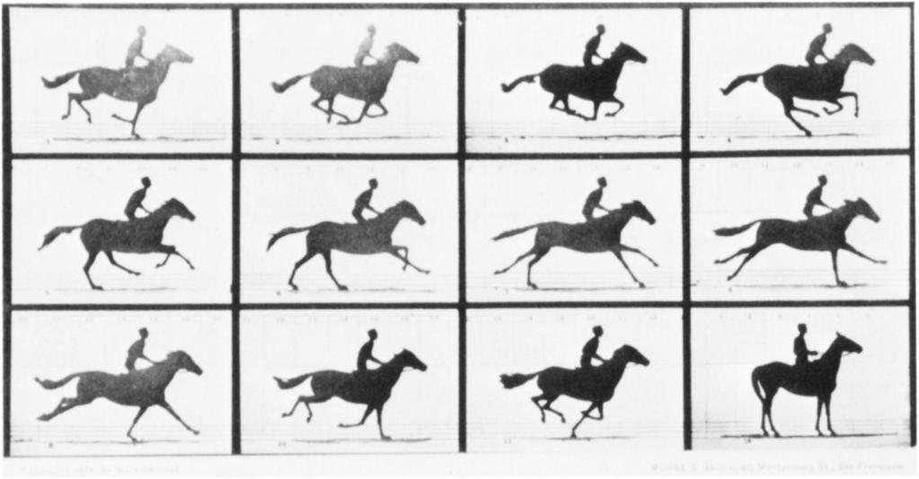 Eadweard Muybridge. Galloping Horse. 1878.