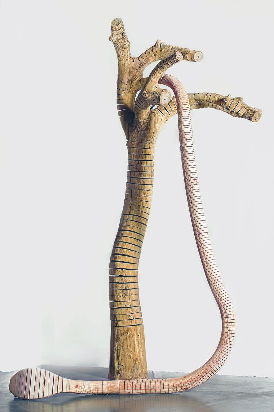 Ye Sen, Snake on a Tree, 2015, Pagoda tree and pine wood (snake), tree: 340