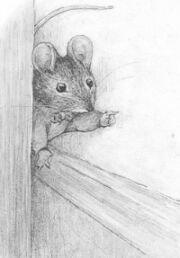7 This is the mouse peeping out behind the cupboard, and making fun of Miss