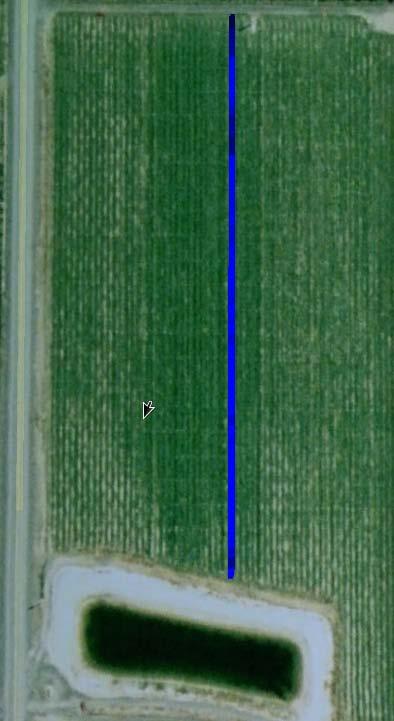 Yield map for a single row (left) and size information for a 16' section (right) for a green apple scan Field Tests The team wishes to acknowledge and thank everyone that helped make our field tests