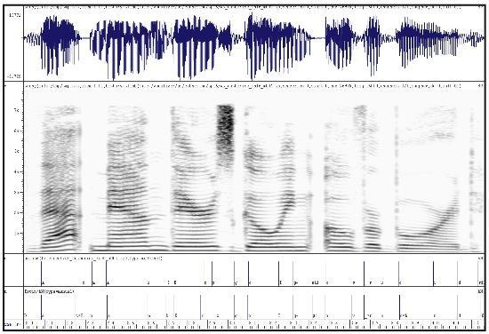 Basic Concepts for Analyzing Voice Prints The process of identifying voices visually involves translating the wave patterns produced by the voice into a pictorial display called a