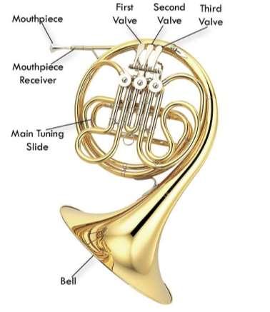 Parts of a French horn Looking Closer: The Brass Family This family of instruments (also know as the horn family) can play louder than any other in the orchestra and can also be heard from far away.