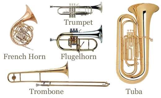 The brass The trumpet is the highest sounding member of the brass family. The player presses the three valves in various combinations with the fingers of the right hand to obtain various pitches.