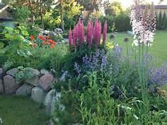 of this new February fundraiser Gardens of Note Tour This June event features 5 or 6 private gardens in the Skagit Valley.