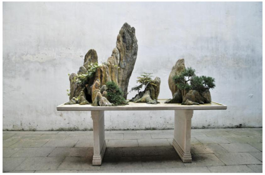 16 Usually, there are two categories, tree penjing, and landscape penjing which consist of shaped rocks and water.