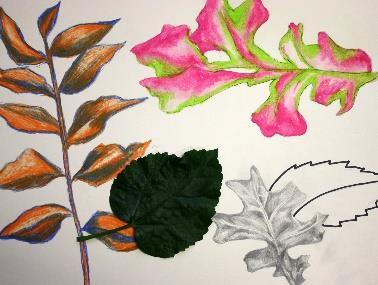 TITLE of Project: Leaf Drawing for Fourth Grade MEDIUM: colored pencil, pencil, oil pastels, marker BIG IDEA: Beautiful Nature ESSENTIAL QUESTION: Can art be created from things around us?