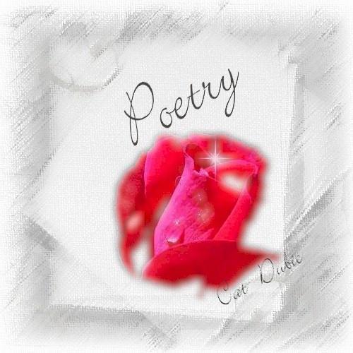 FREE VERSE: Poetry that doesn t have a regular meter or rhyming scheme. Free verse tries to capture the rhythm of ordinary speech.