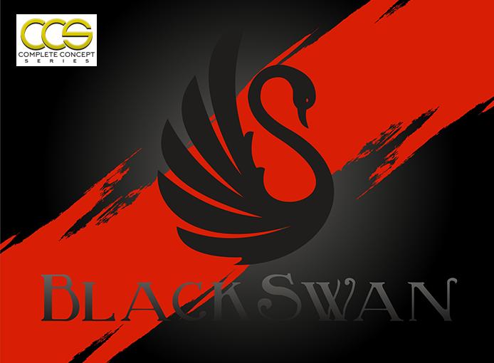 Black Swan Fannin Musical Productions Storyboard by Jason Shelby jason@fanninmusic.com (270) 293-4106 Black Swan is a study in contrasting beauty: classical vs. contemporary, timeless & elegant vs.