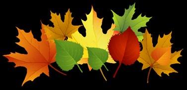 Dear Villa Cresta Families, Message from PTA President Bonnie Fox There is a chill in the air, the leaves will soon be falling and school is in full swing.
