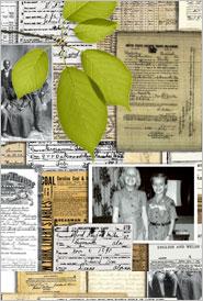 Meet Your Ancestors! Genealogy: Exploring Your Family Tree!