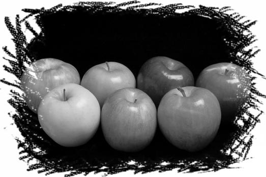 4 So where do all those different apples in the supermarket come from? They come from trees that were started and grown using a process called grafting.