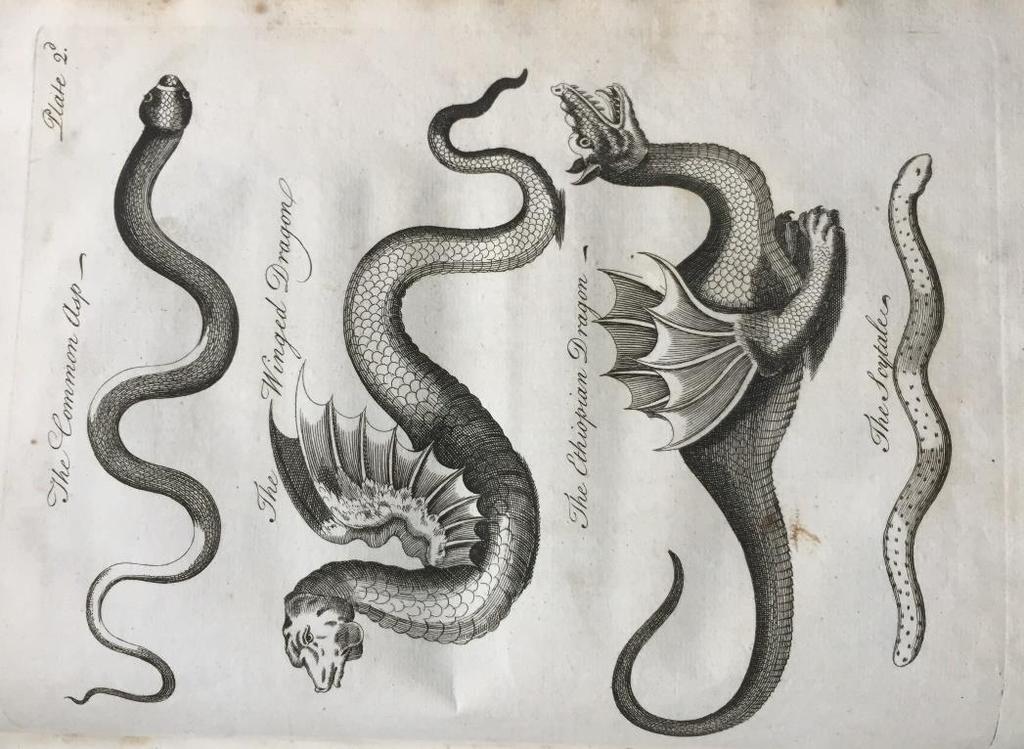 6. OWEN, Charles D.D. An Essay Towards A Natural History Of Serpents In Two Parts.