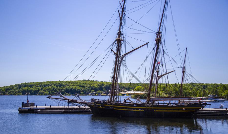 About Nestled within Discovery Harbour, King s Wharf Theatre is flanked by majestic tall ships and historic buildings. This unique, rustic theatre is air-conditioned and wheelchair accessible.