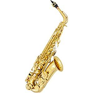 Alto Saxophone The saxophone is a woodwind instrument. It uses a single reed and mouthpiece to produce the sound. Because of the volume produced, only a few students will be chosen for this each year.
