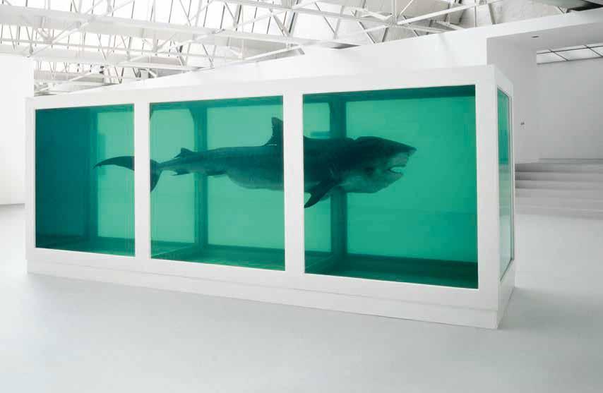 Damien Hirst, The Physical Impossibility