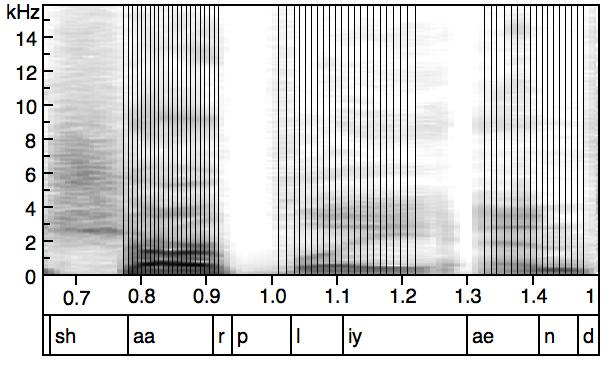 Example of a pitch-synchronous spectrogram For voiced sections, the vertical lines represent glottal closing