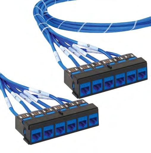 PRE-TERMINATED CABLES HIPERLINK TM COPPER PLUG & PLAY SOLUTION PRE-TERMINATED CABLES Copper CAT 6e and CAT 6A cable CMP or CMR jackets Up to 295