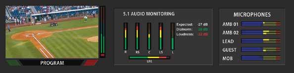 The amount of cabling needed for discrete (non embedded) audio is minimized by the Audio Bridge Terminals, which accept analog (balanced or unbalanced) and digital audio (75 Ω or 110 Ω).