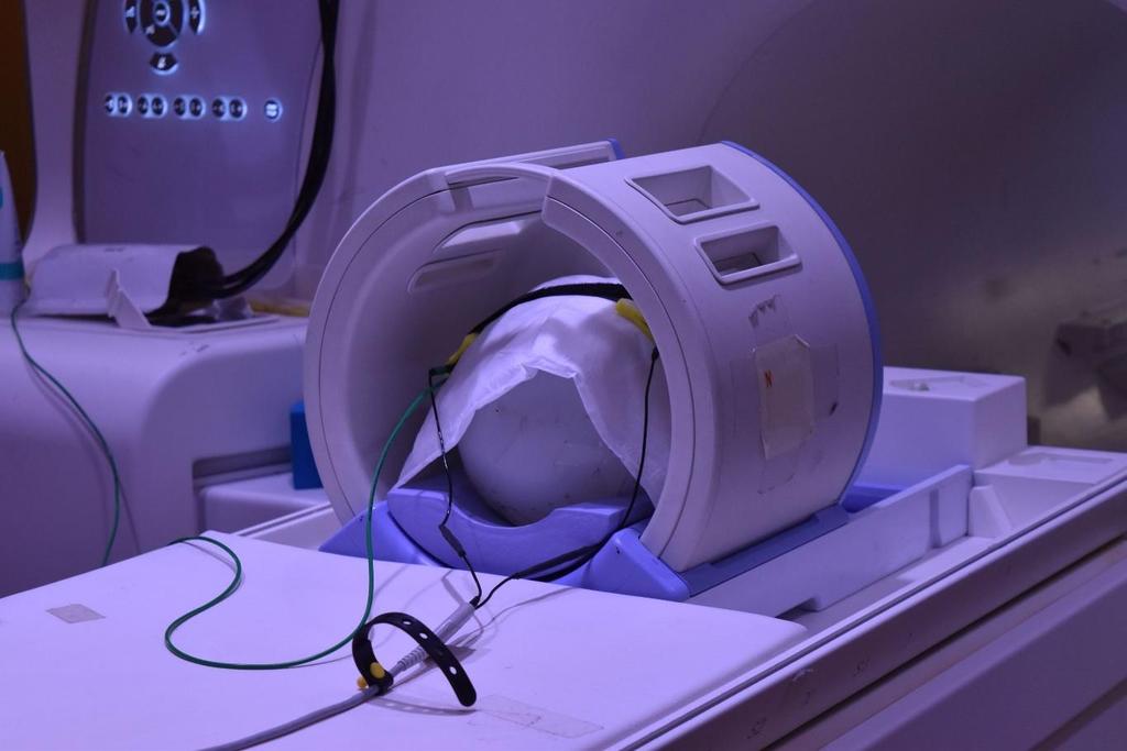 SOTERIX MEDICAL MRI SOLUTION FOR tes and HD-tES