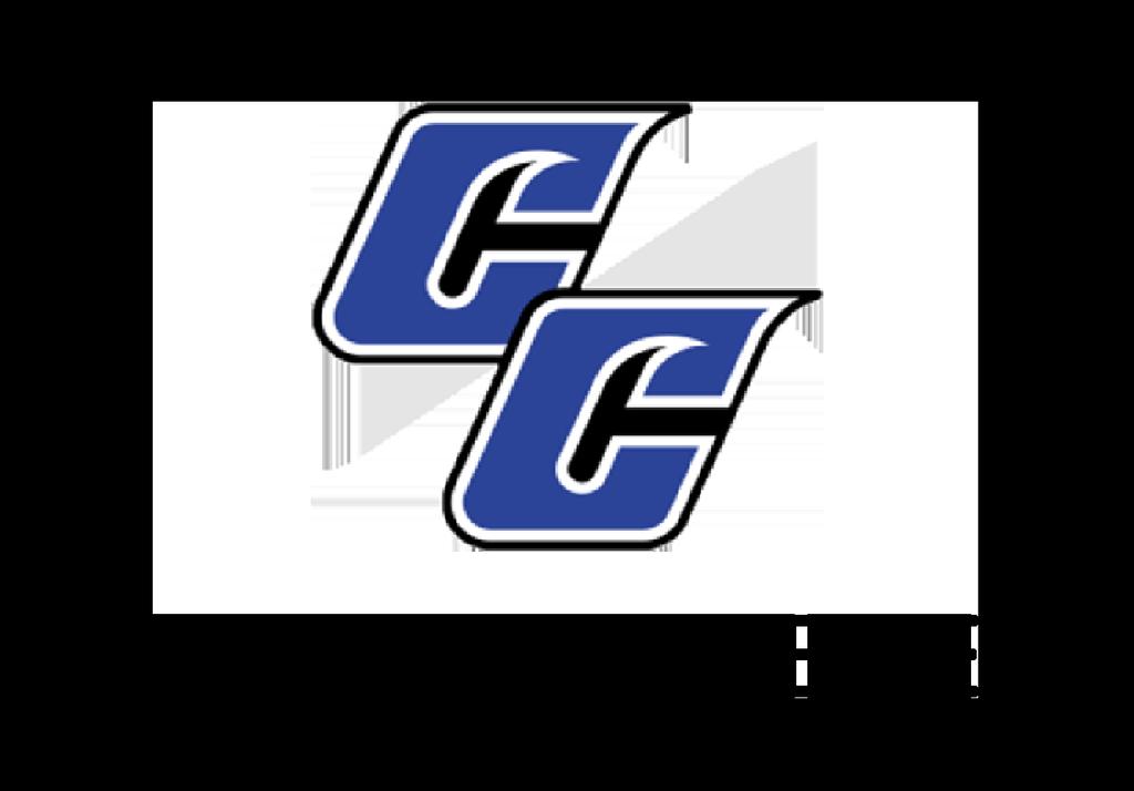 Cisco College has only one official logo that should appear on all college