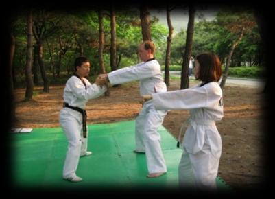 3 Learn Taekwondo Destination Namsangol Hanok Village Maximum no. of visitors 100 Tel 82-2-6939-7748 e-mail taekwondo@tawkondoseoul.org http://www.taekwonseoul.