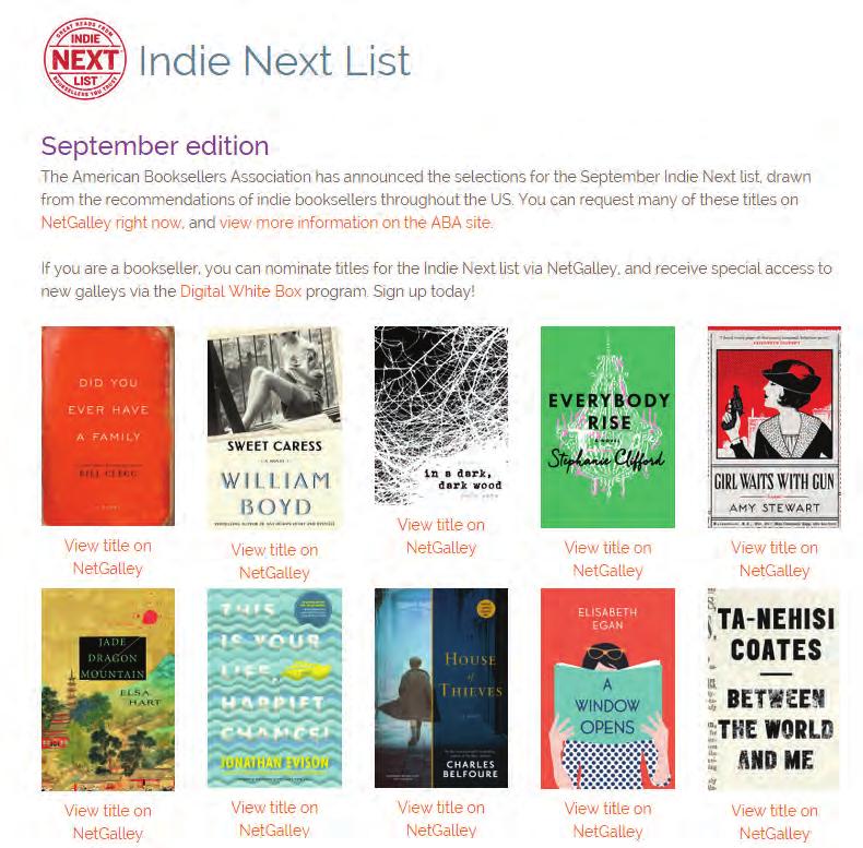 Our monthly Digital White Box in partnership with the American Booksellers Association provides pre-approved