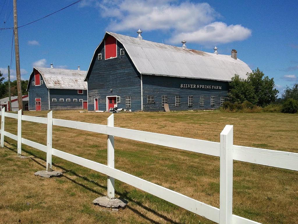 Vegetation - Farming farming has occurred in Bells Corners since 1851 today, farms are still around the