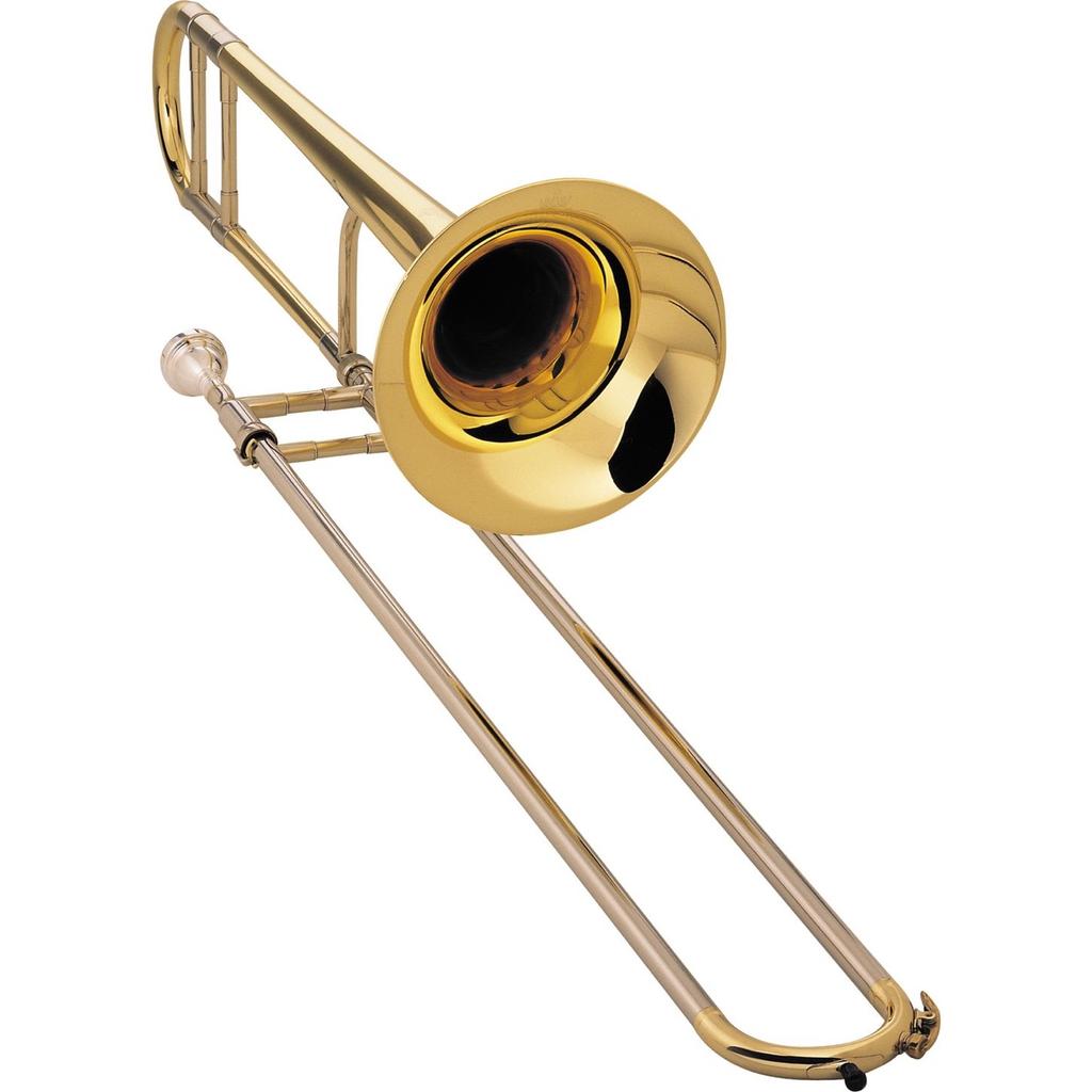 French Horn: The horn is the middle pitched (alto voice) member of the brass family.