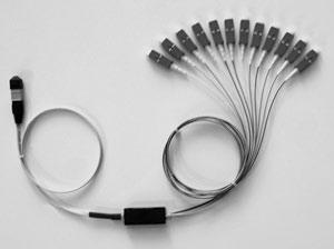 Multi-Fiber Cable Assembly Multi-fiber Cable Assembly Multi-fiber cable assemblies are factory-terminated fiber cables of various constructions (distribution, breakout or ribbon) using simplex,