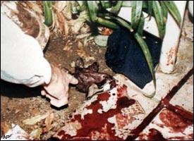 DNA EVIDENCE AT THE SCENE -Trail of blood from inside Ford Bronco to