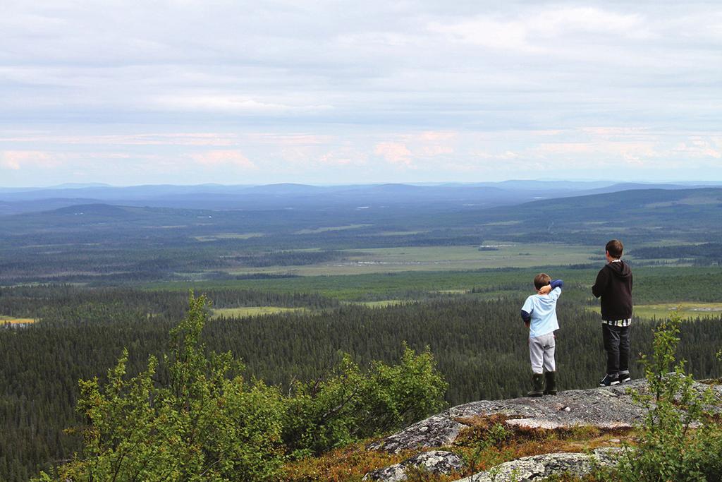 Views as far as the eye can see New exhibition at Skogsmuseet/Forestry Museum Five