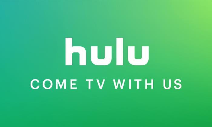 Hulu 7 million subs Grew more than 40% in 2017 Only operates in the US compared to Netflix being