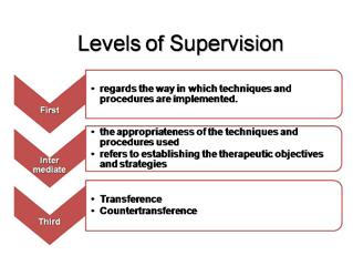Supervision of a Music Therapy Team in Medicine 39 The intermediate level involves reviewing two aspects.