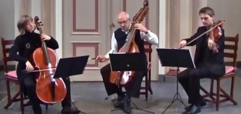 Haydn s Birthday Baryton Trio 1 st Movement, Baryton