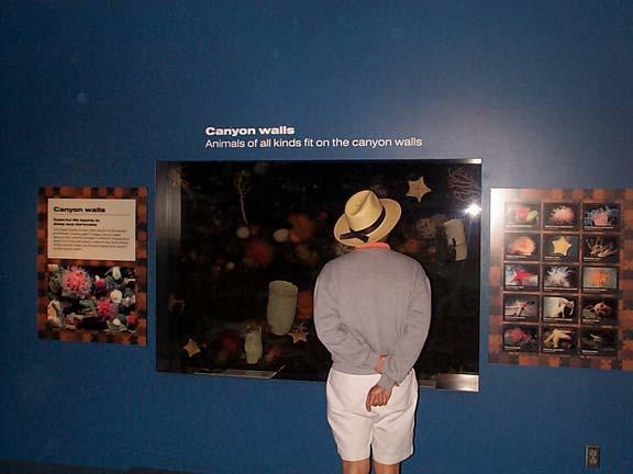 visitor doesn t. This geology exhibit is a type 2b the exhibit is passive and the visitors is active.