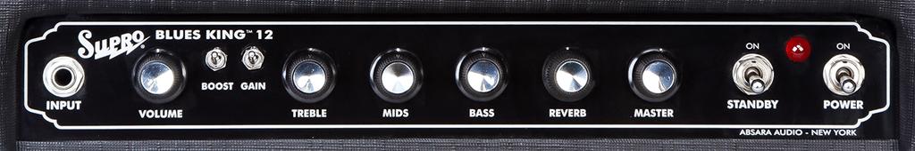 2. Anatomy and Usage 2.1 Front Panel INPUT Instrument input. VOLUME Controls the gain of the preamp. Higher settings cause break-up in the pre amp section.