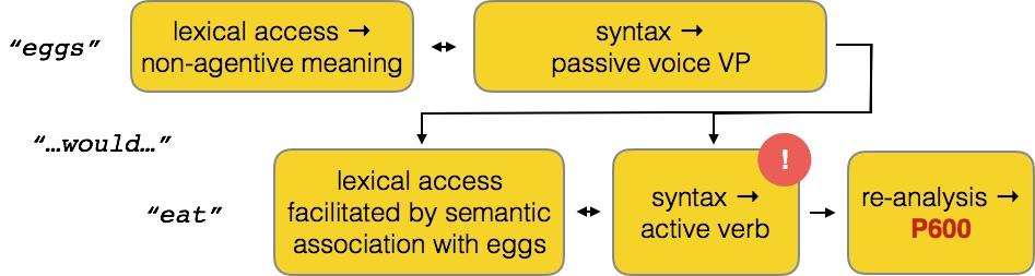 These "Semantic" P600 effects follow from predictive coding: "Every