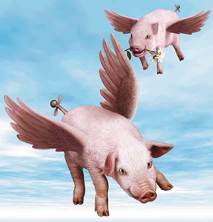 We are not interested in science fiction. Rather, we are interested in developing systems that work in reality. Let s clarify this: pigs don t fly!