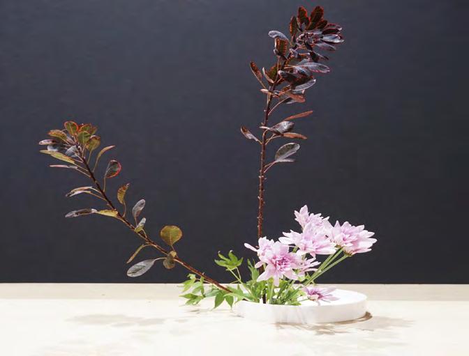 Division 621-625 Competition Dates: July 11, 16, 23, 30, August 6 Ikebana Arrangement Rules: Floral arrangements may use commercially grown materials.