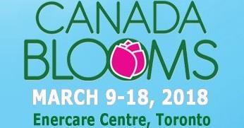 Canada Blooms Canada's largest flower & garden festival celebrates its 22nd anniversary. When: March 1 th to March 18 th, 2018.