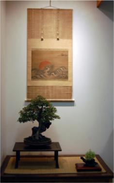 In the earlier example of a pine in a summer display with a scroll showing a falling deciduous leaf, it would be inappropriate if the bonsai was deciduous because of the